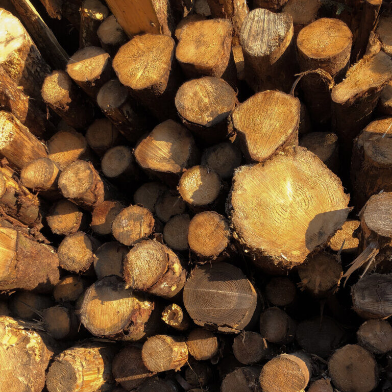 Des copeaux de bois gratuits pour Sainte-Thérèse et Boisbriand